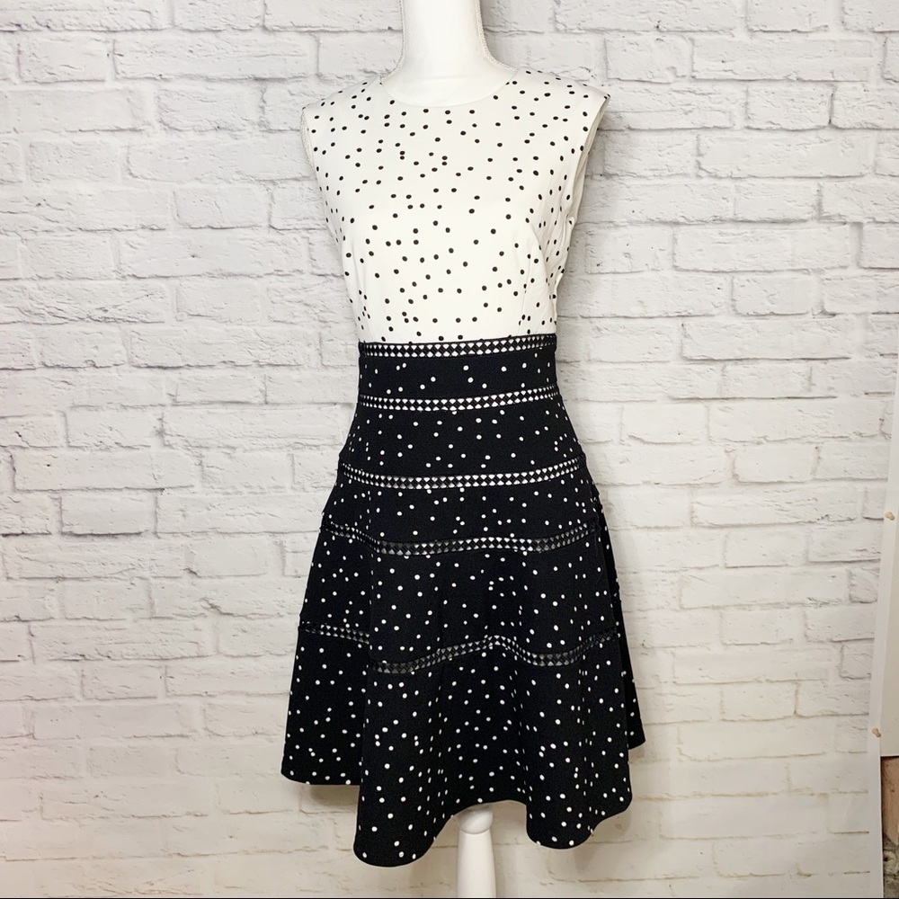 NWT Womens Taylor polka dot fit n flare dress